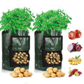 Dyrk Poteter Hemma: Smart Potetdyrkingspose för Terrasse & Balkong