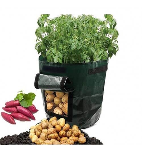 Dyrk Poteter Hemma: Smart Potetdyrkingspose för Terrasse &amp; Balkong