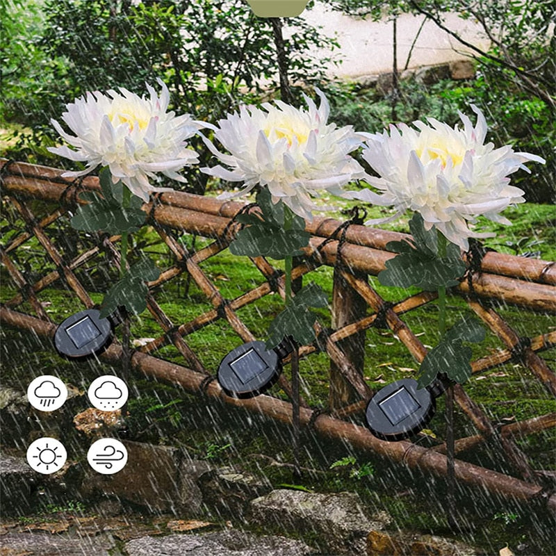 Solcelledrevet Krysantemum LED Hagelys