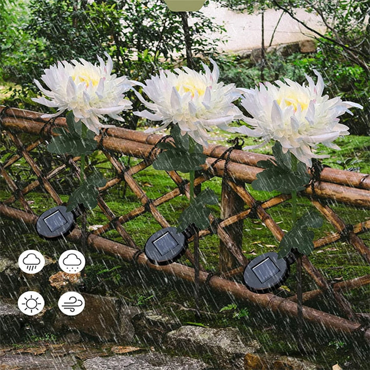 Solcelledrevet Krysantemum LED Hagelys