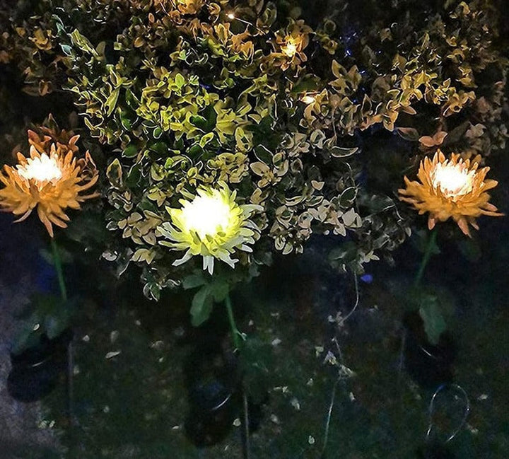 Solcelledrevet Krysantemum LED Hagelys