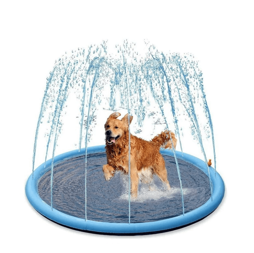 Hundesprinklerpute för hunder – Kjöl ner och lek i sommervarmen!