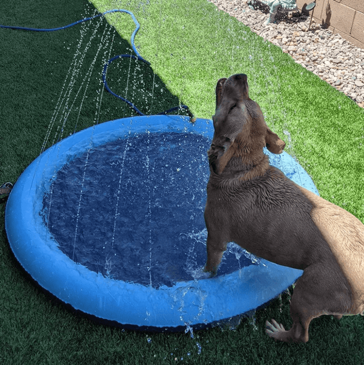 Hundesprinklerpute för hunder – Kjöl ner och lek i sommervarmen!