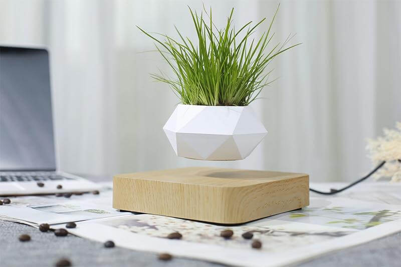 Svevende Plante Air Bonsai Potte