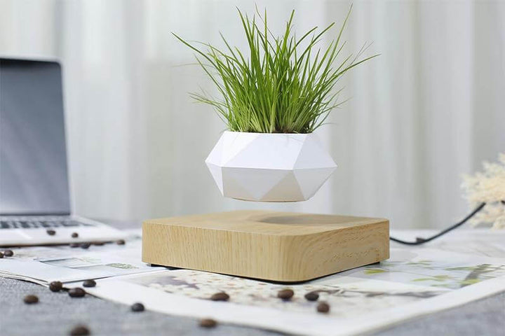 Svevende Plante Air Bonsai Potte