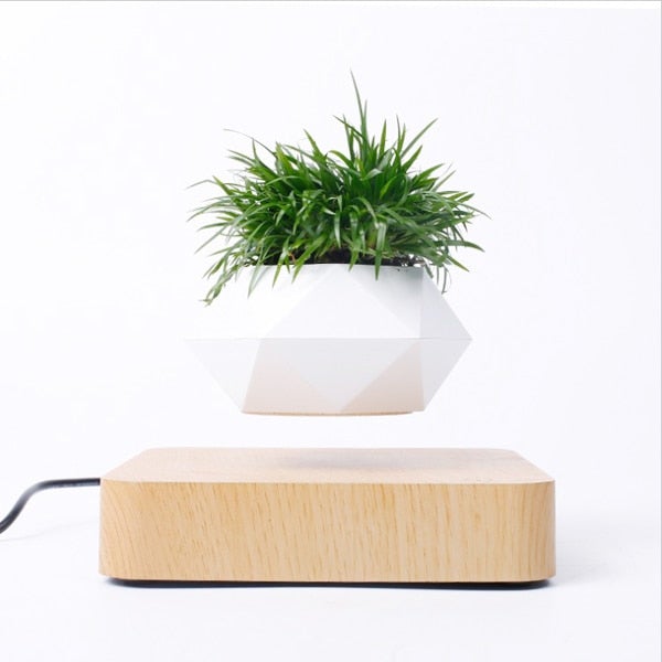 Svevende Plante Air Bonsai Potte