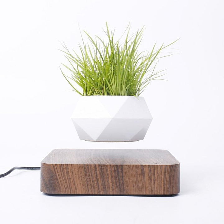 Svevende Plante Air Bonsai Potte