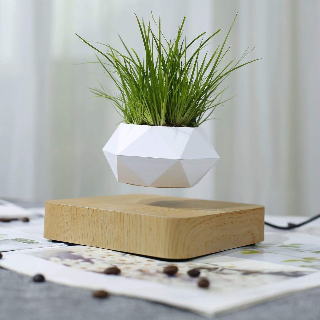 Svevende Plante Air Bonsai Potte
