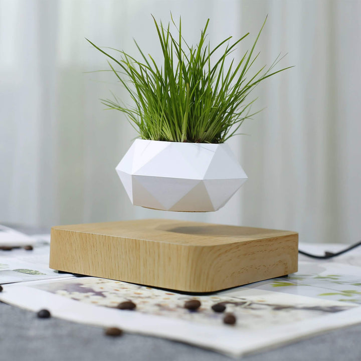 Svevende Plante Air Bonsai Potte
