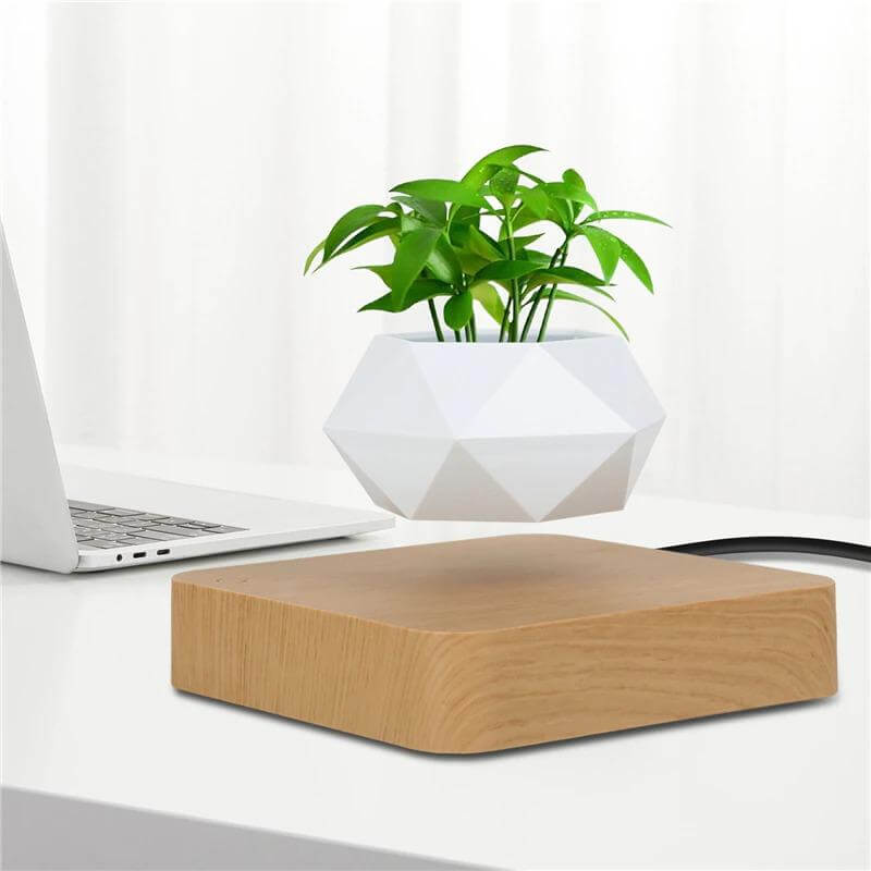 Svevende Plante Air Bonsai Potte