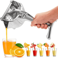 Universell Manuell Fruktpresse för Fersk Juice