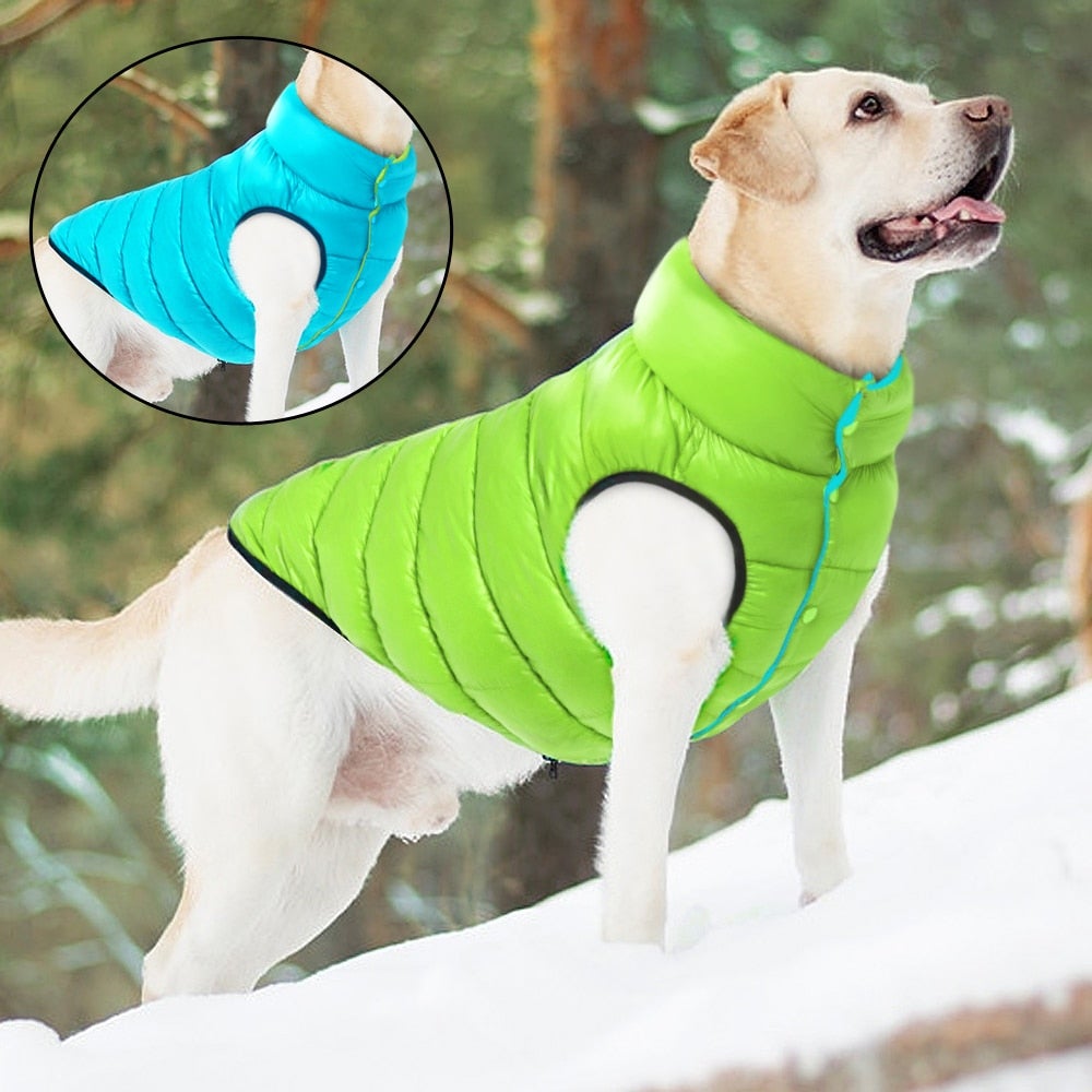 Vendbar Hundekåpe – Varm och Stilfull Vinterjacka för Hund